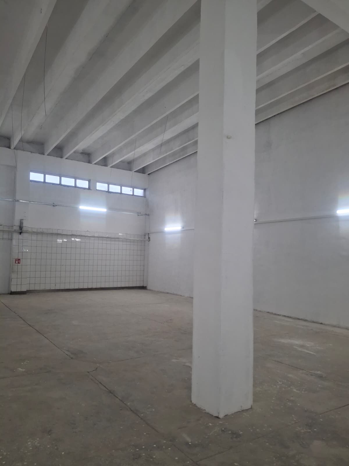 ZONA INDUSTRIALA (COD04)-Hala 270 mp ideal service auto - foto 10
