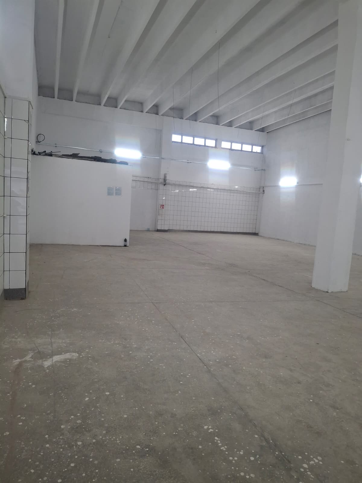 ZONA INDUSTRIALA (COD04)-Hala 270 mp ideal service auto - foto 4