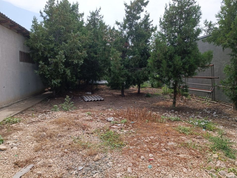 Palazu Mare(cod04)-Casa demolabila -depozit + teren 990 mp - foto 4