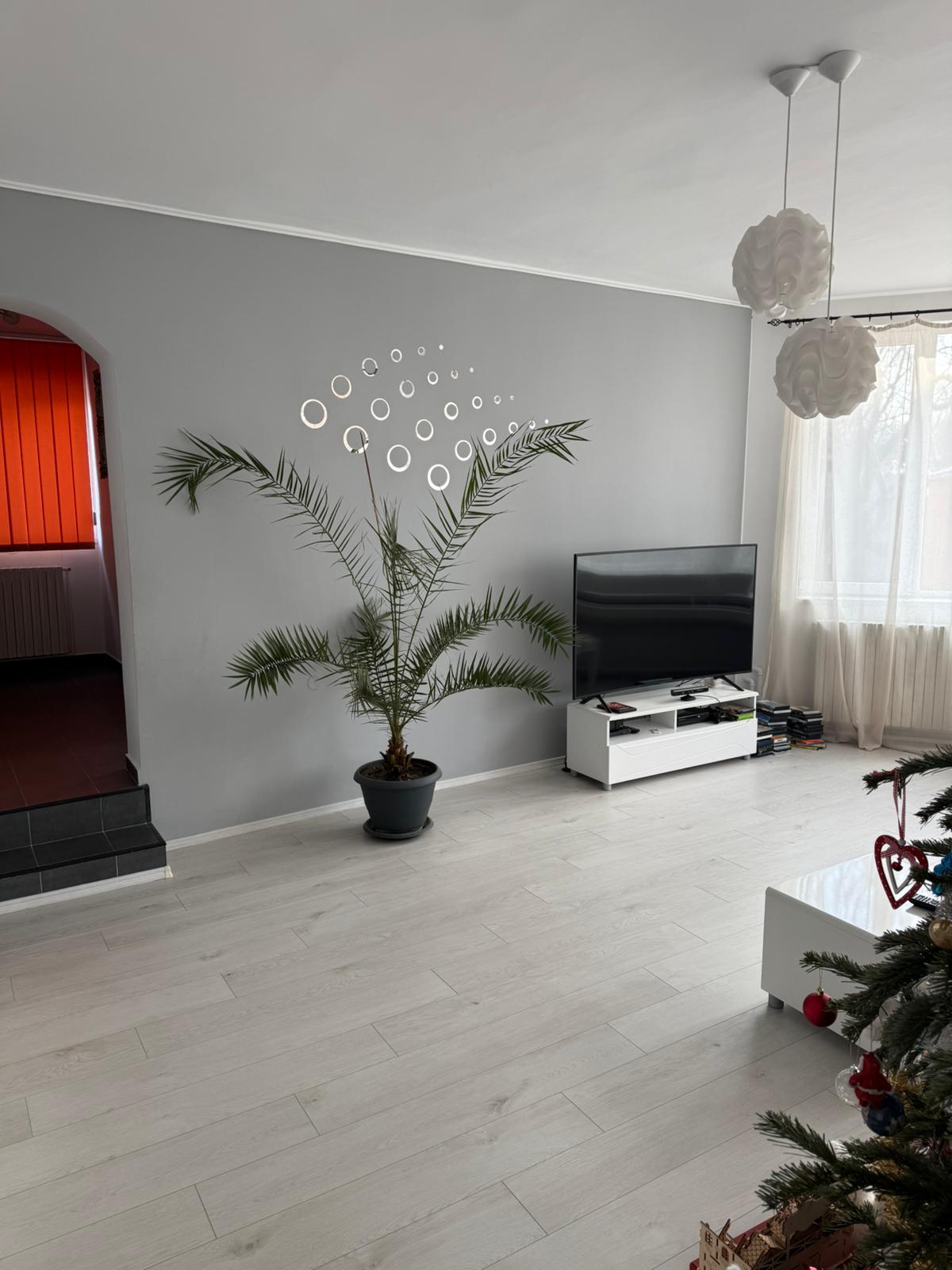 Vila deosebita Kamsas-Baba Novac - foto 3