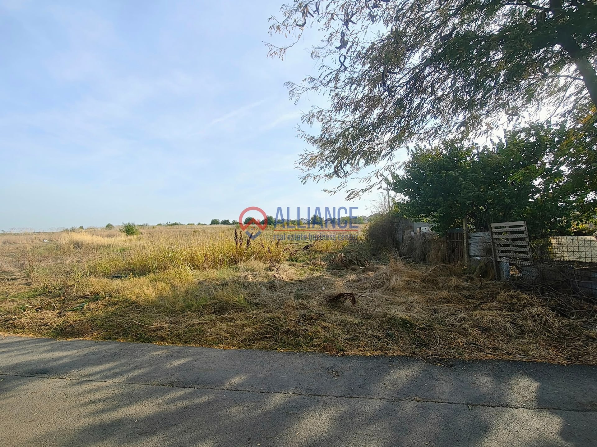 Valu lui Traian  - teren 1781 mp langa Padure - foto 6