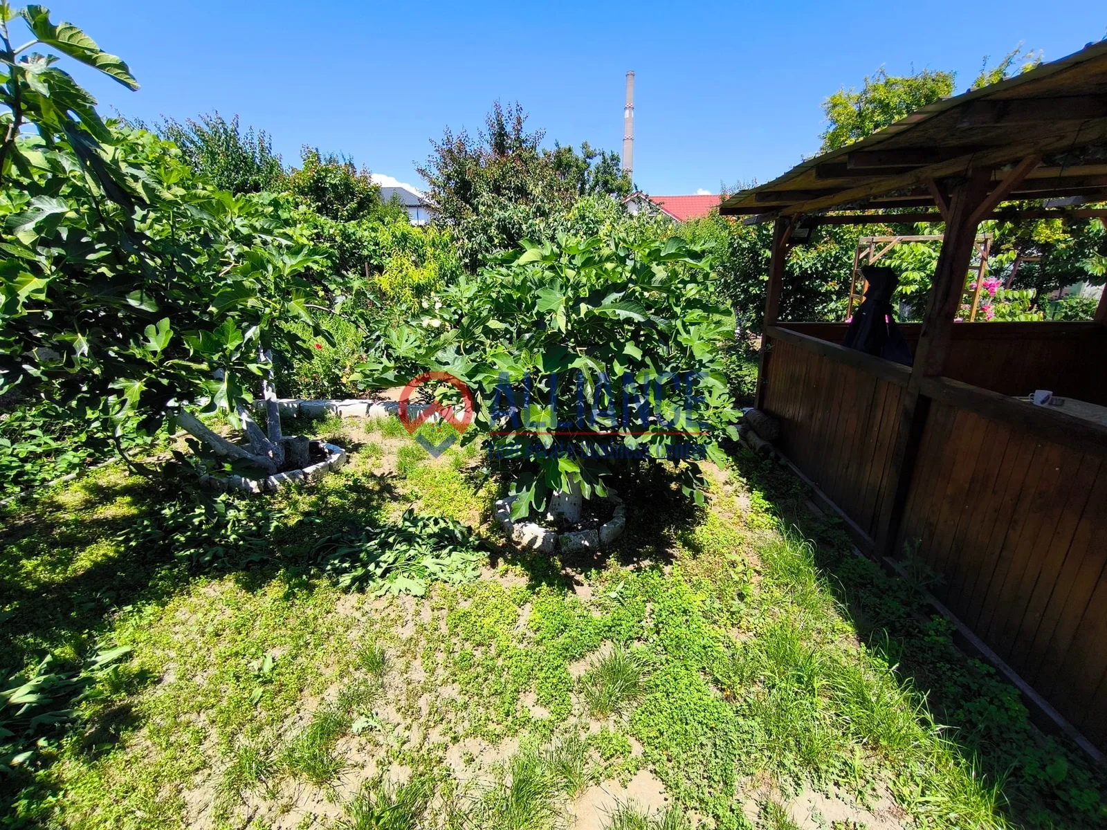 VIILE NOI - casa cu o curte generoasa disponibila imediat - foto 22