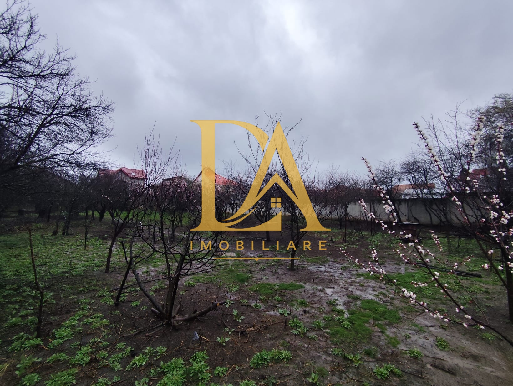 Spatiu Comercial/Teren/Casa/Vila Soseaua Alexandriei de inchiriat - foto 7