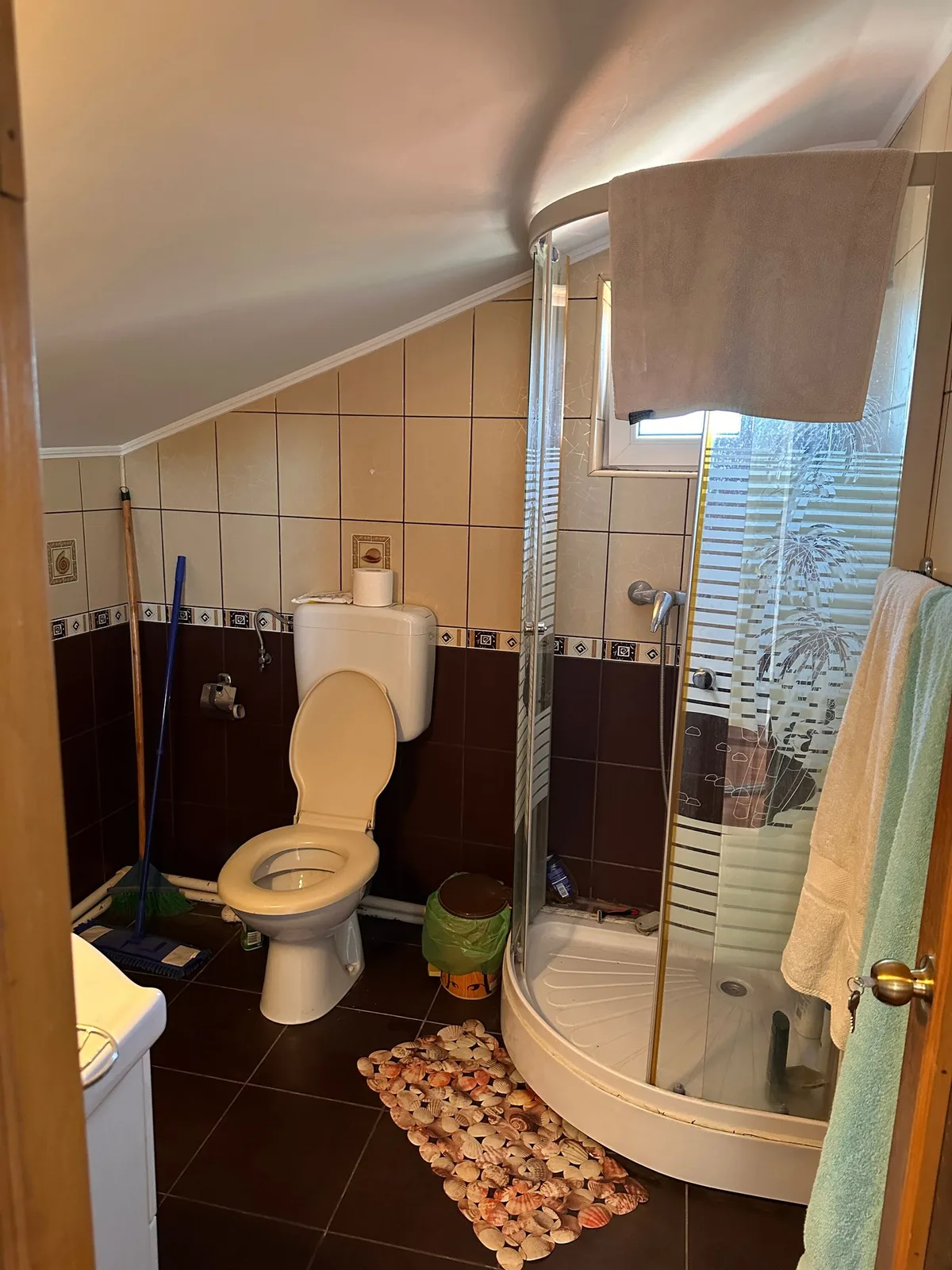 Vila deosebita Kamsas-Baba Novac - foto 12