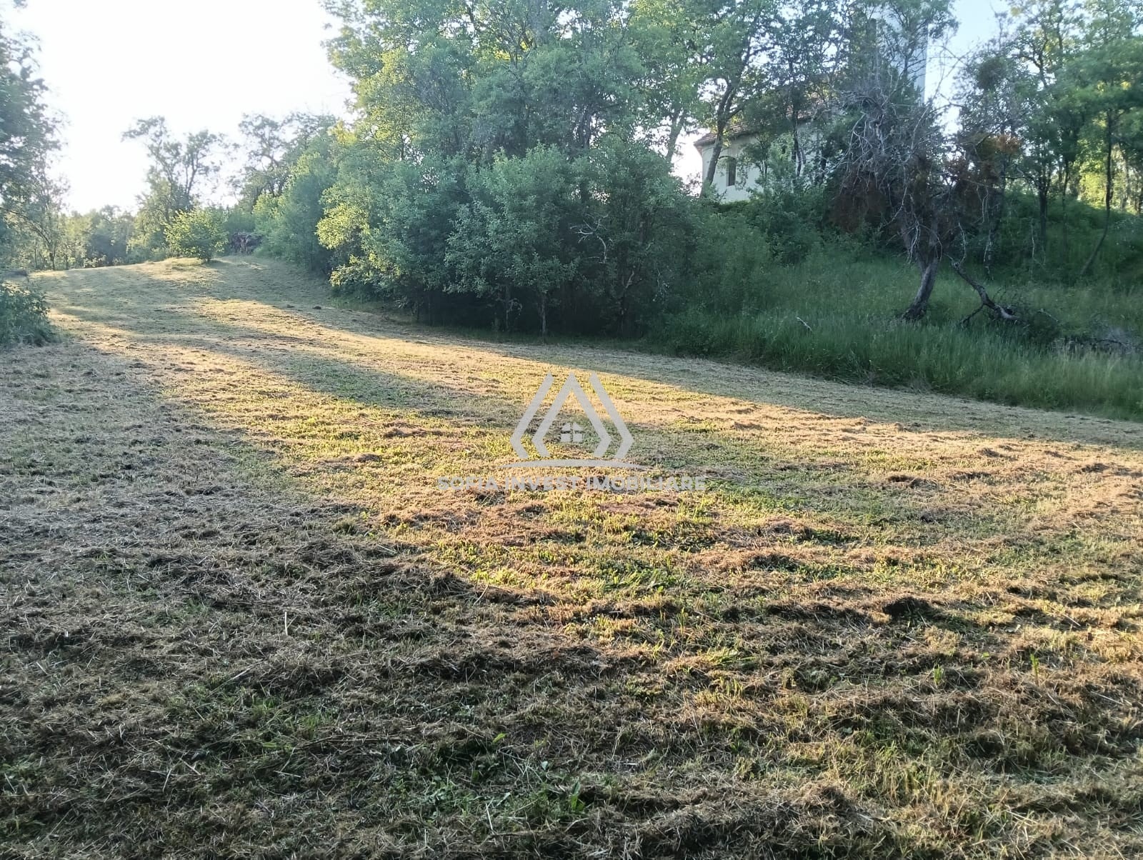 Chidea/Vultureni Cluj – teren 4100 mp cu front stradal de 55 m