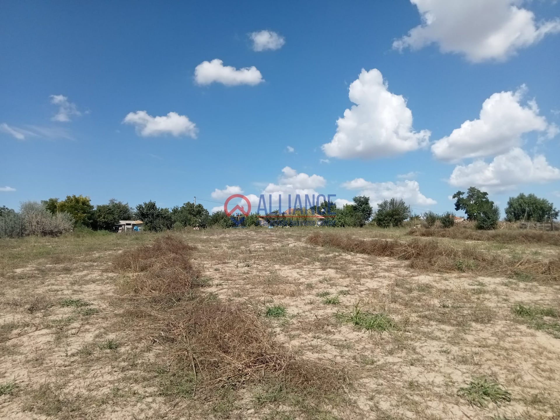 Teren intravilan 4.000 mp - Gradina, jud. Constanta - foto 9