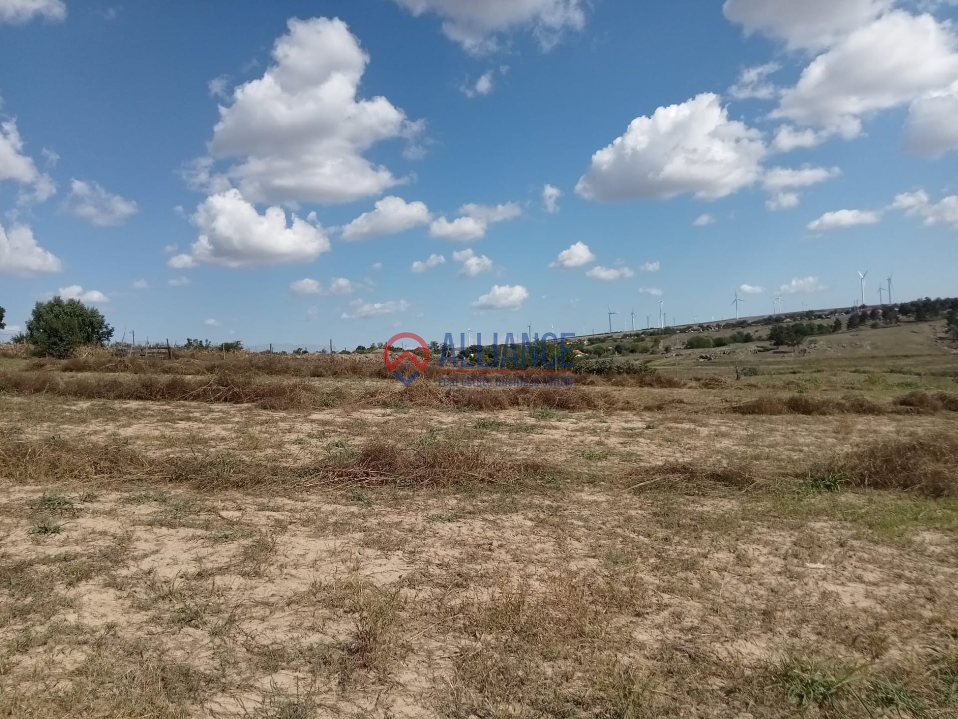 Teren intravilan 4.000 mp - Gradina, jud. Constanta - foto 5