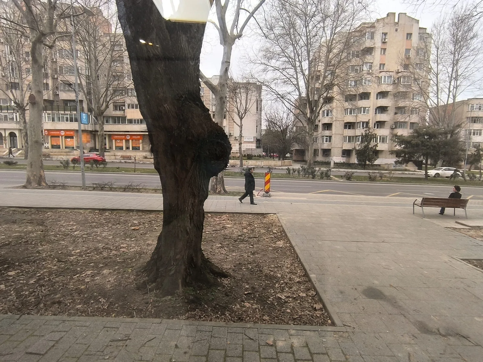 CAPITOL - Bdul Mamaia parter de vila stradal! - foto 8