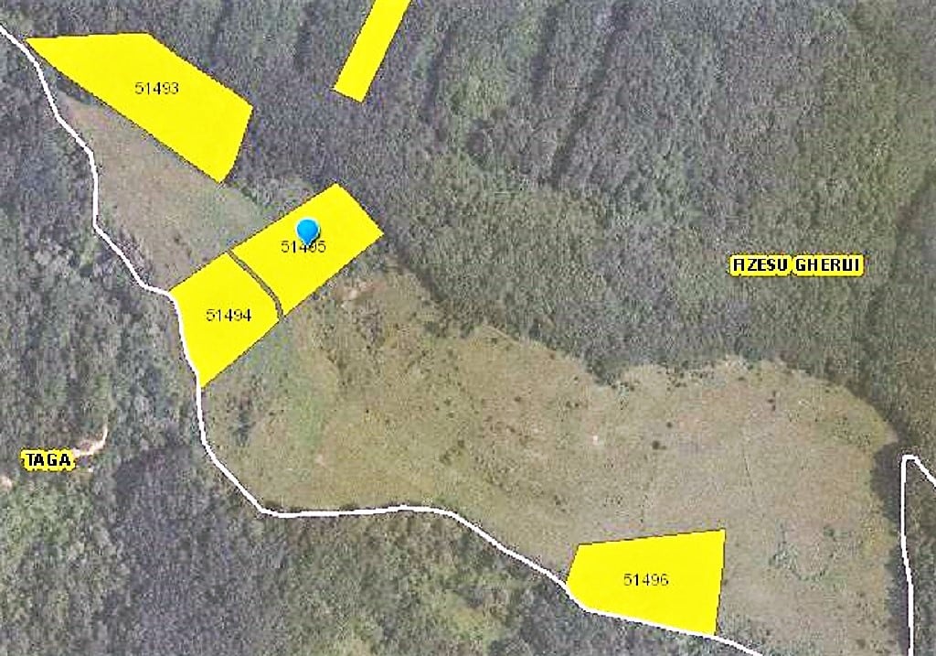 Teren 35000 mp, Nicula, intabulat, oportunitate investiție