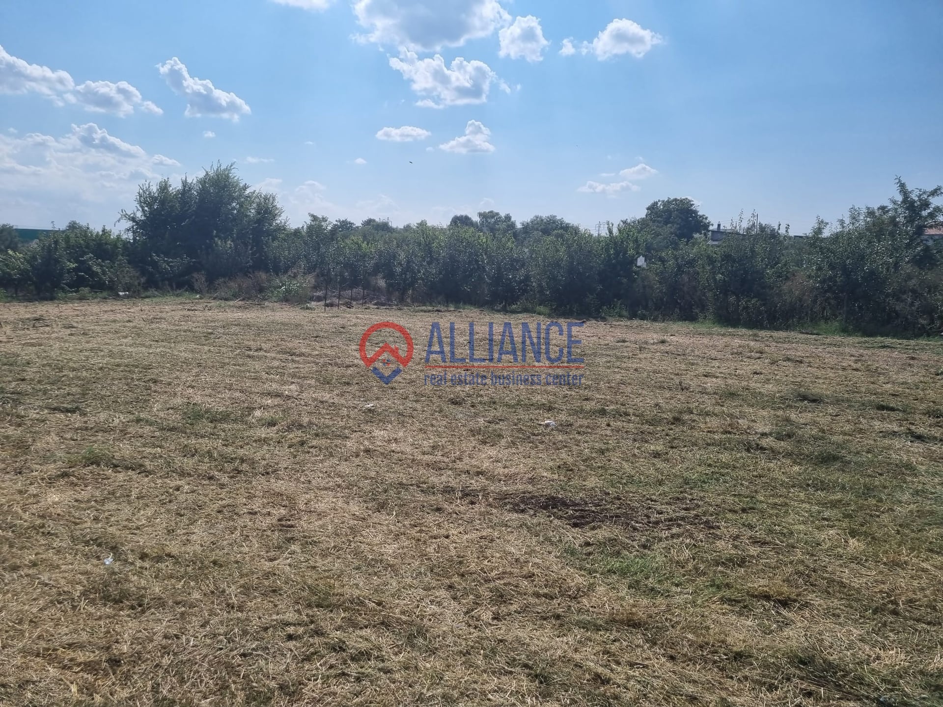 Teren 3417 mp, Poiana, intabulat, utilități complete - foto 6