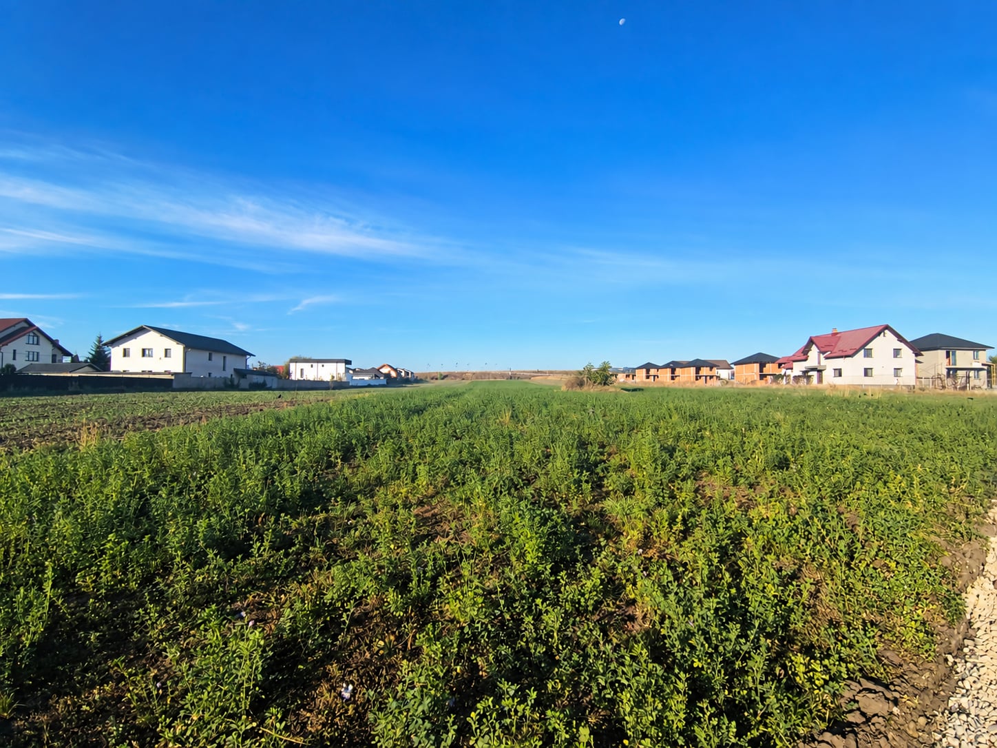Teren intravilan 9.061 mp – Str. Humorului, Suceava - foto 2
