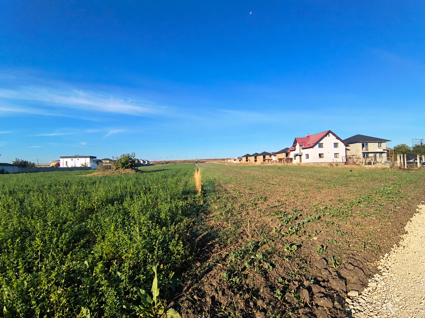 Teren intravilan 9.061 mp – Str. Humorului, Suceava - foto 3