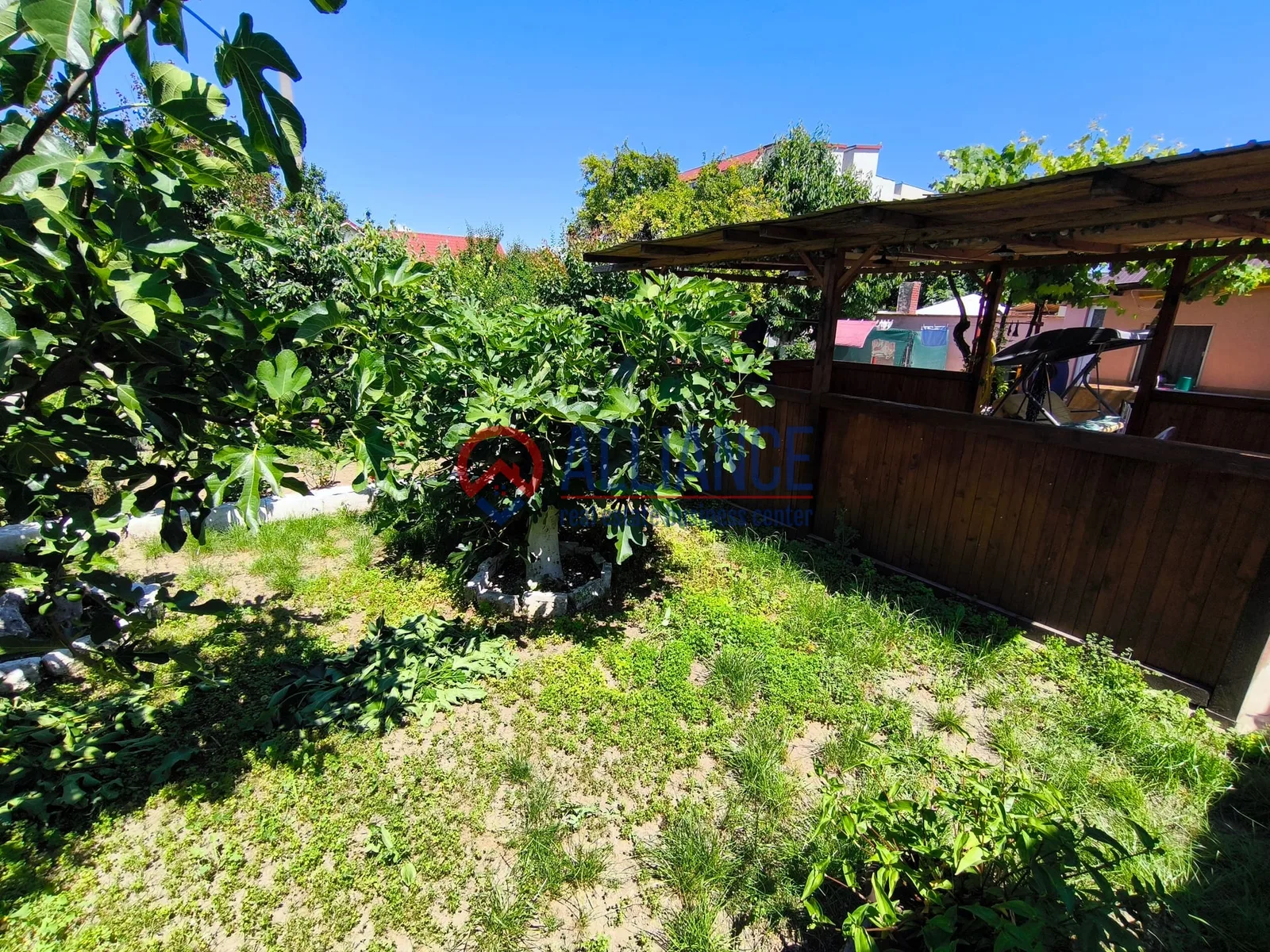 VIILE NOI - casa cu o curte generoasa disponibila imediat - foto 21
