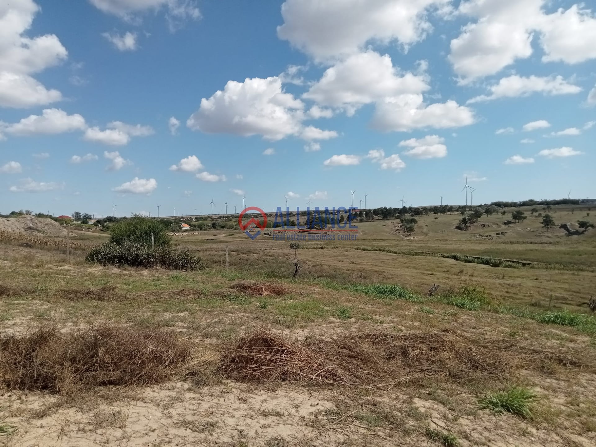 Teren intravilan 4.000 mp - Gradina, jud. Constanta - foto 2