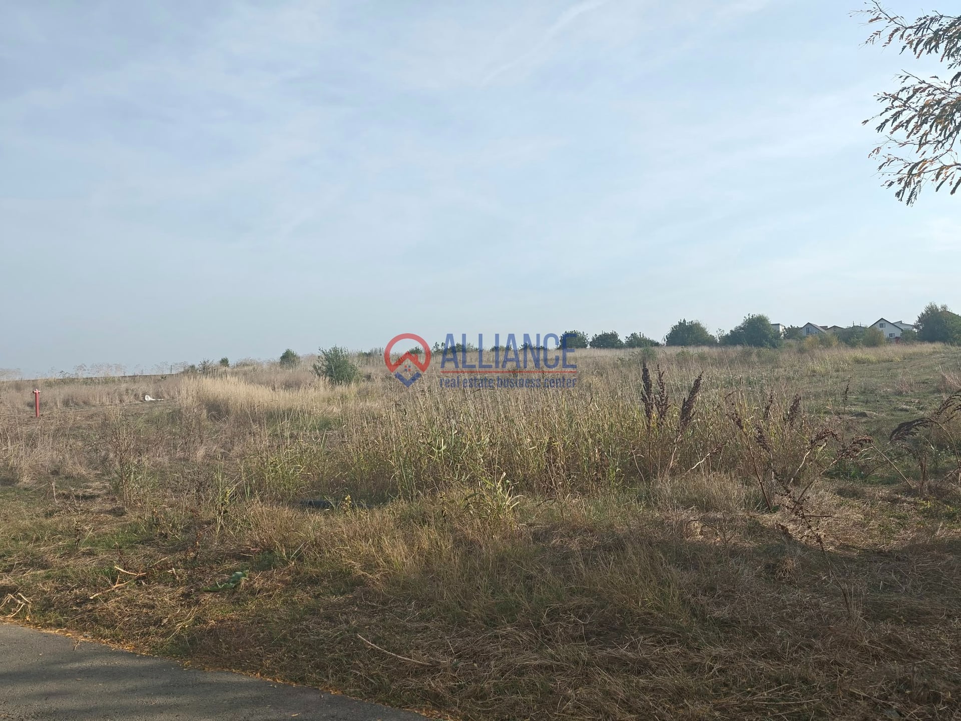 Valu lui Traian  - teren 1781 mp langa Padure - foto 9