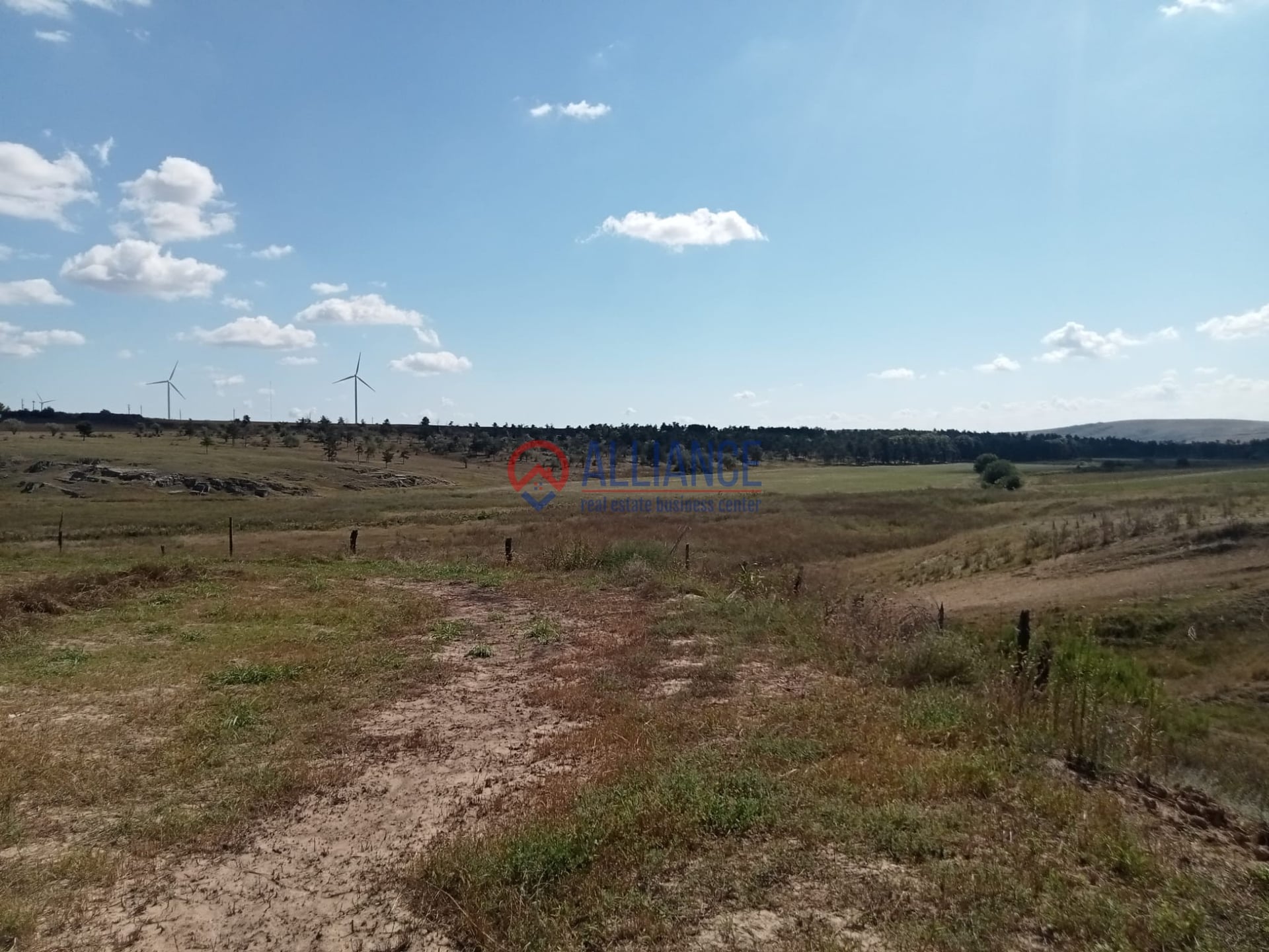 Teren intravilan 4.000 mp - Gradina, jud. Constanta - Imagine principala