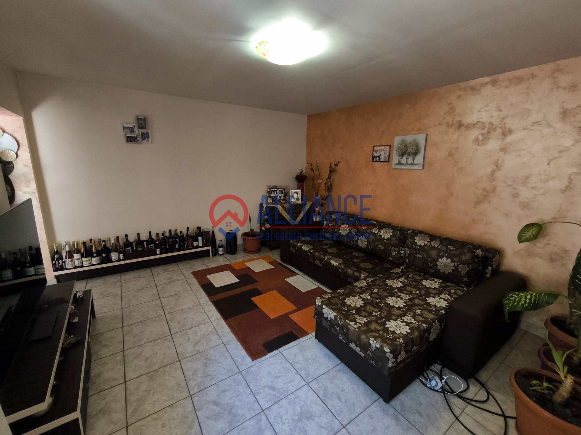 VIILE NOI - casa cu o curte generoasa disponibila imediat - foto 2