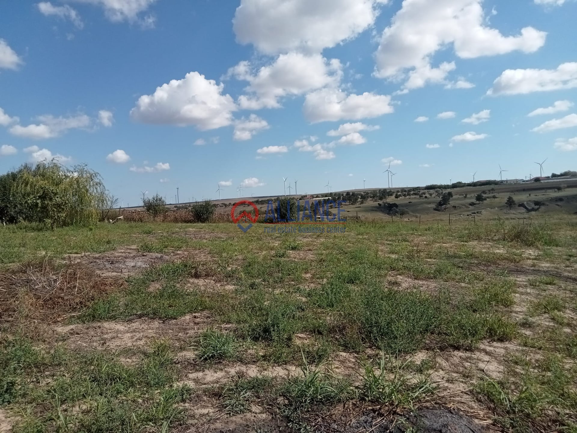 Teren intravilan 4.000 mp - Gradina, jud. Constanta - foto 7
