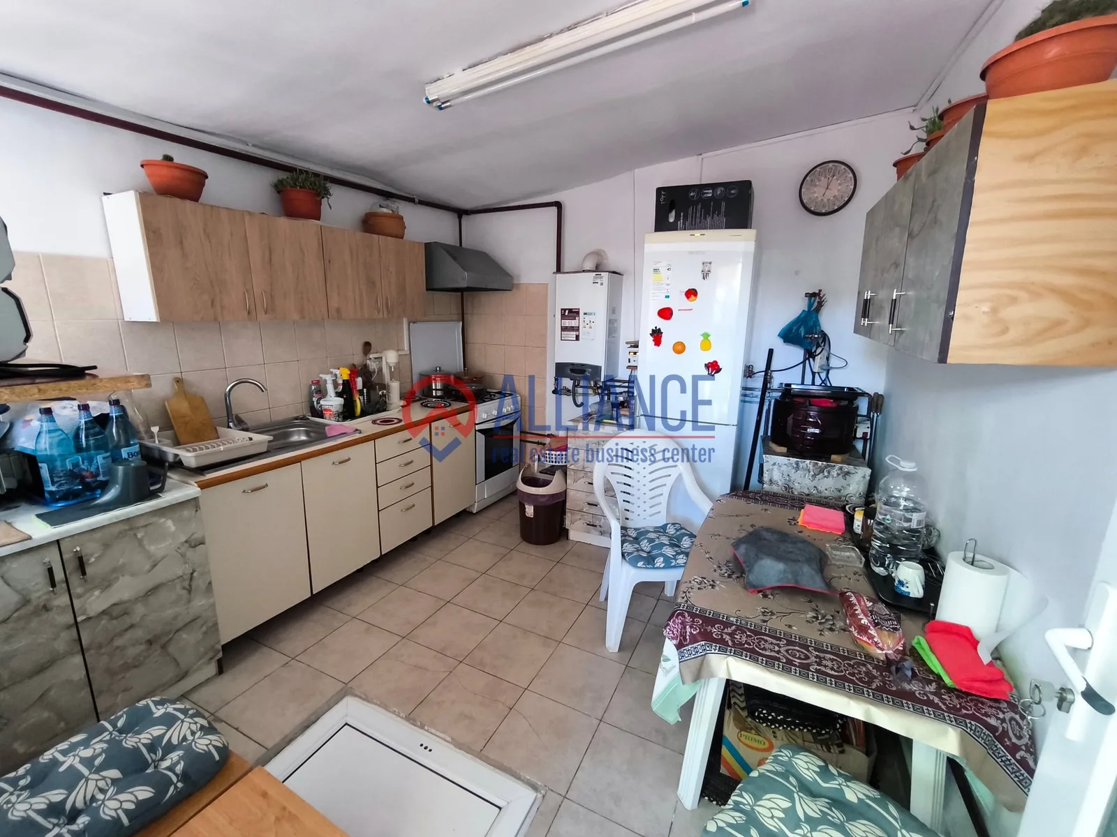 VIILE NOI - casa cu o curte generoasa disponibila imediat - foto 18