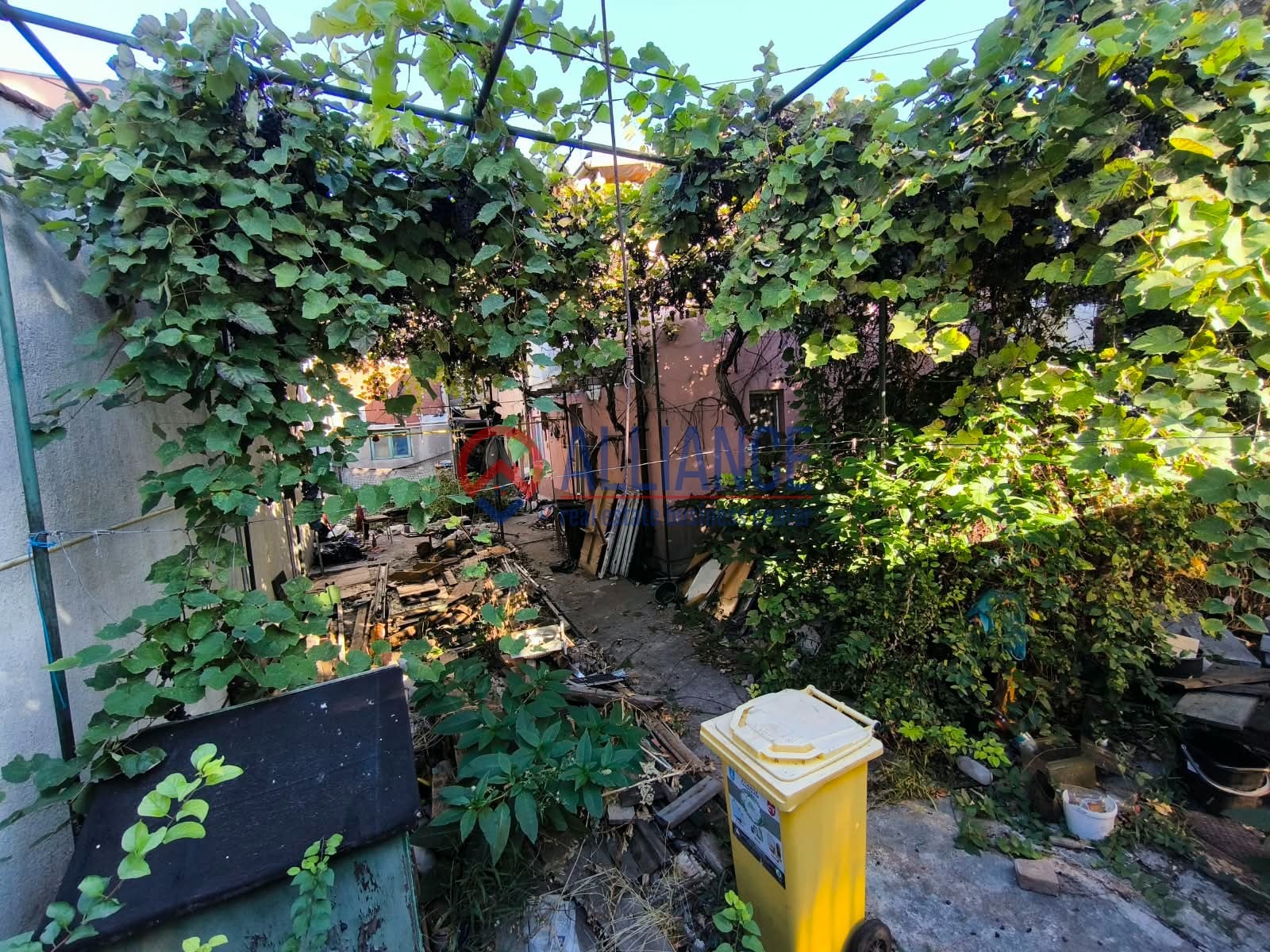 TOMIS II - Teren, cu construcție și utilități - foto 3