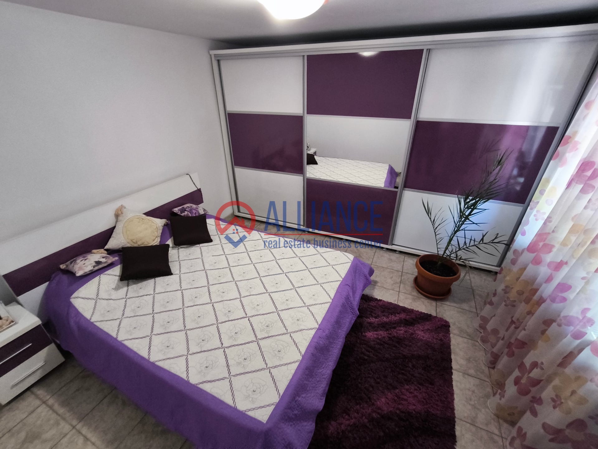 VIILE NOI - casa cu o curte generoasa disponibila imediat - foto 13