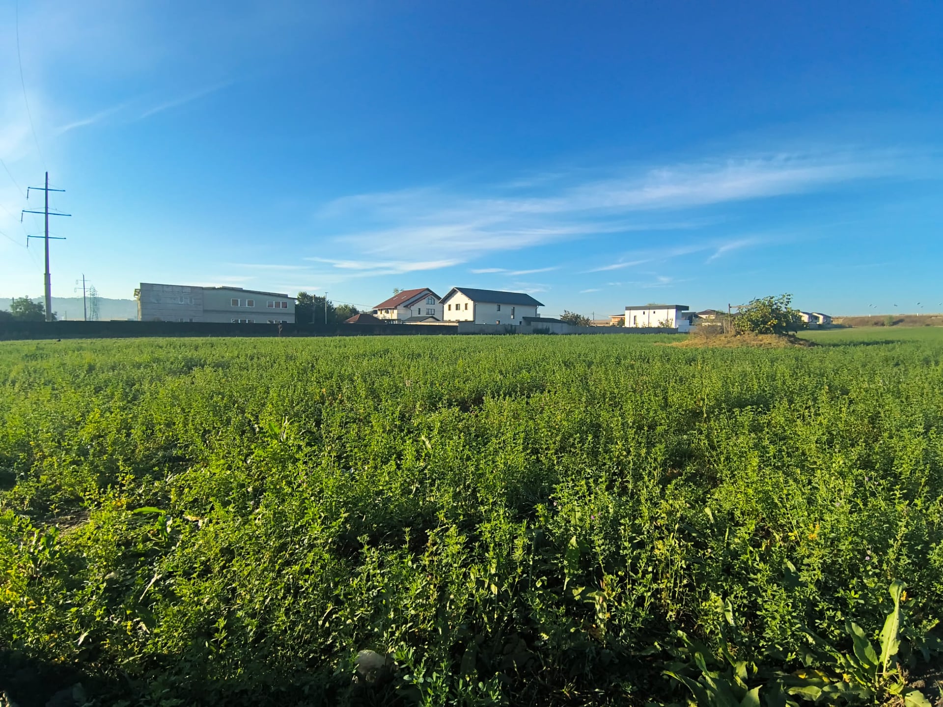 Teren intravilan 9.061 mp – Str. Humorului, Suceava - foto 4