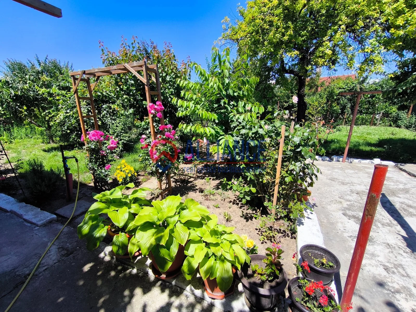 VIILE NOI - casa cu o curte generoasa disponibila imediat - foto 19