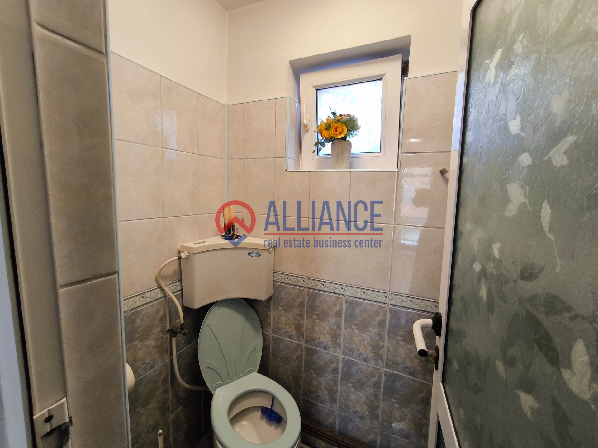 VIILE NOI - casa cu o curte generoasa disponibila imediat - foto 12