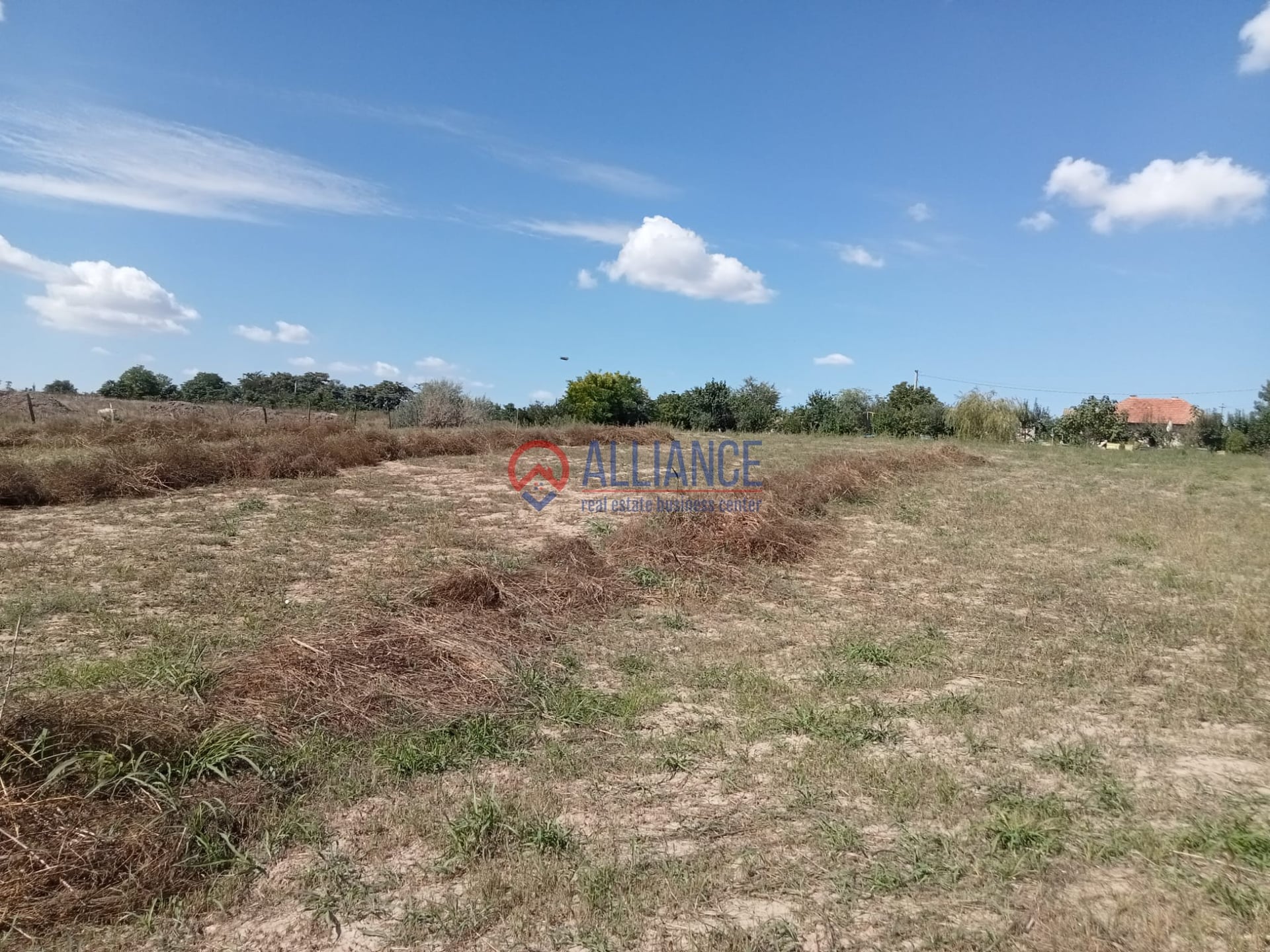 Teren intravilan 4.000 mp - Gradina, jud. Constanta - foto 10
