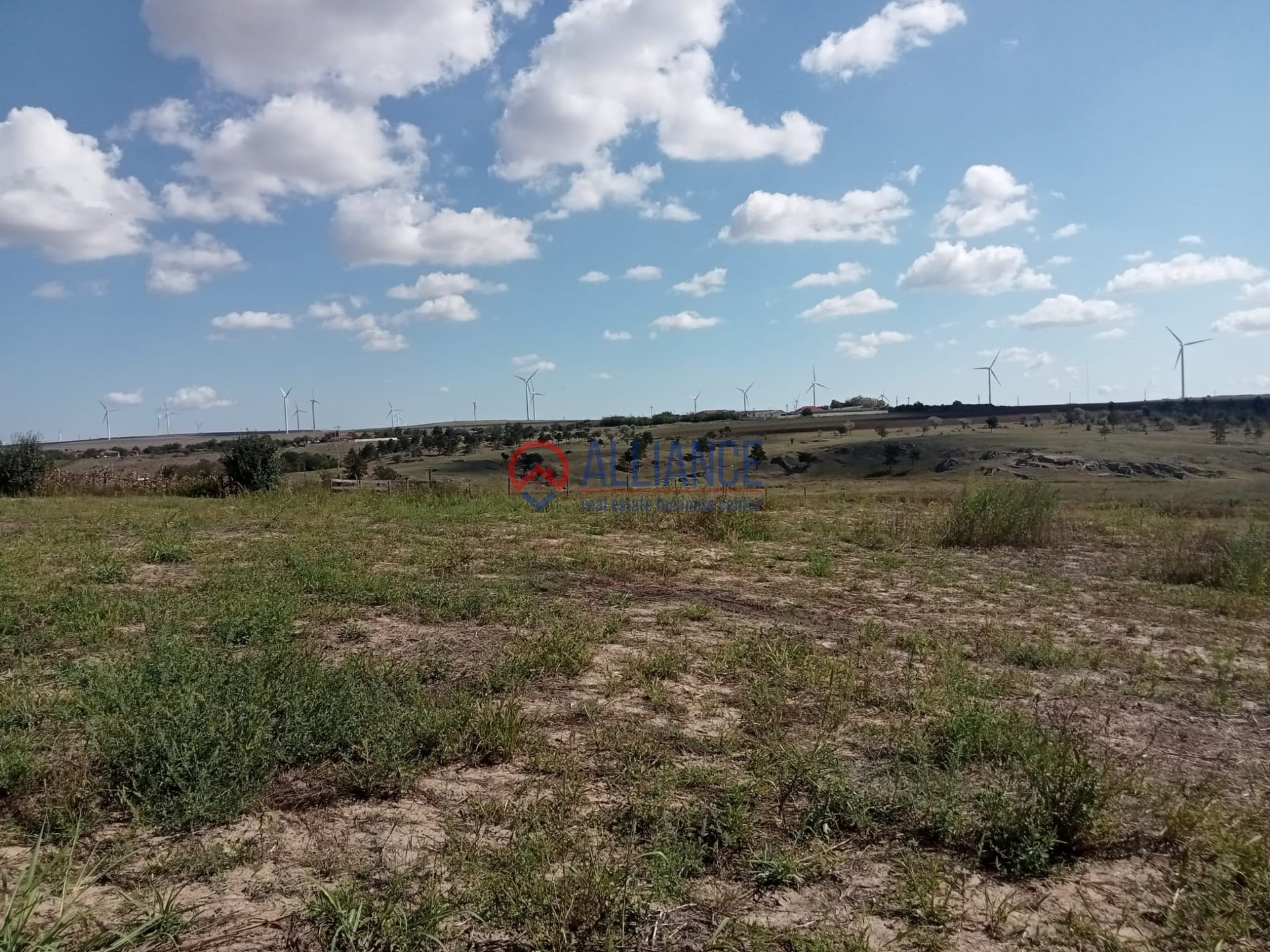 Teren intravilan 4.000 mp - Gradina, jud. Constanta - foto 6