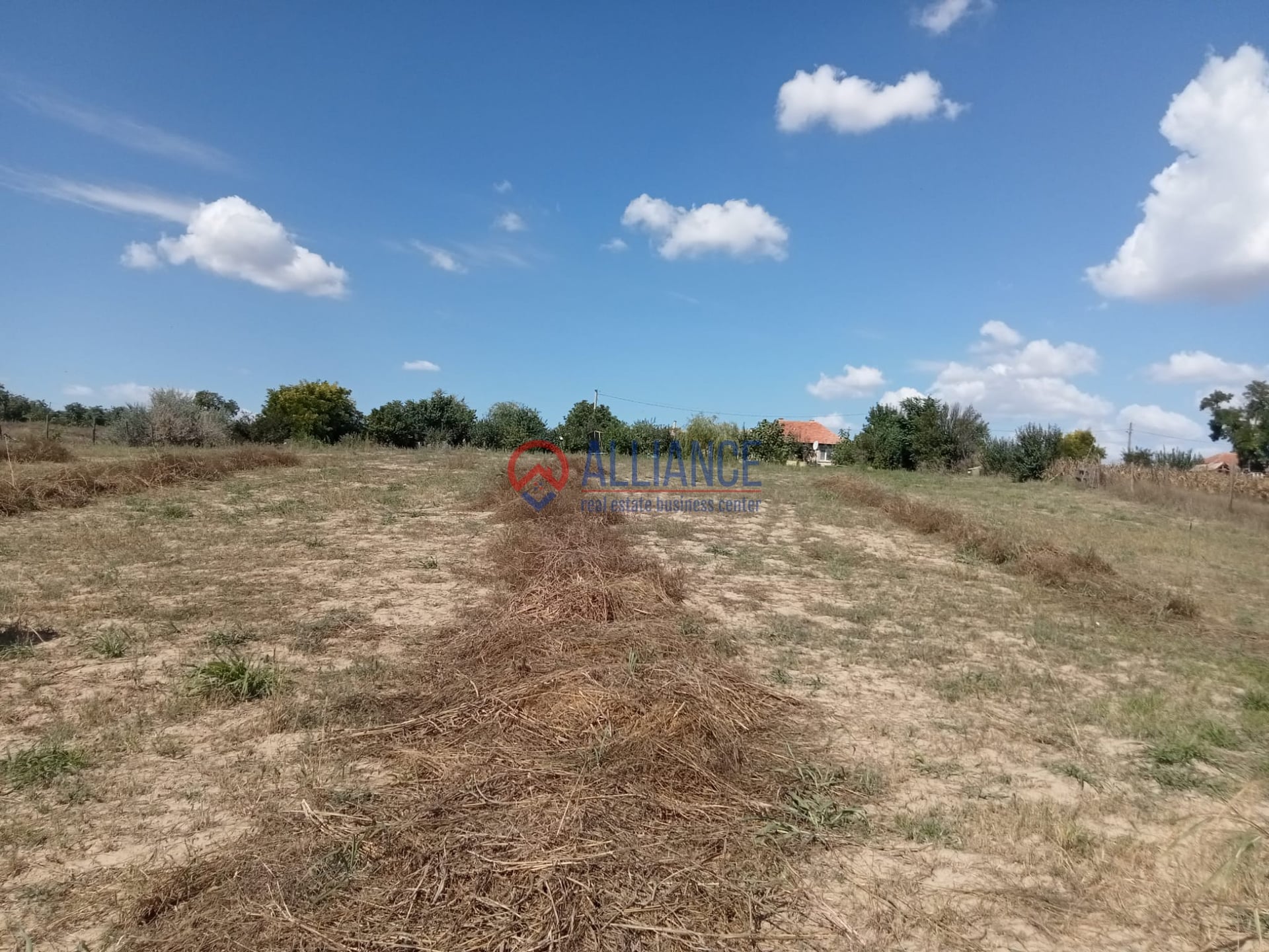 Teren intravilan 4.000 mp - Gradina, jud. Constanta - foto 8