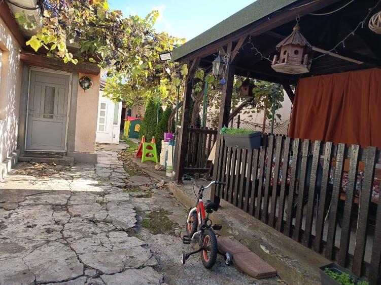 Palas – casă cu 3 camere, curte și foișor - foto 2