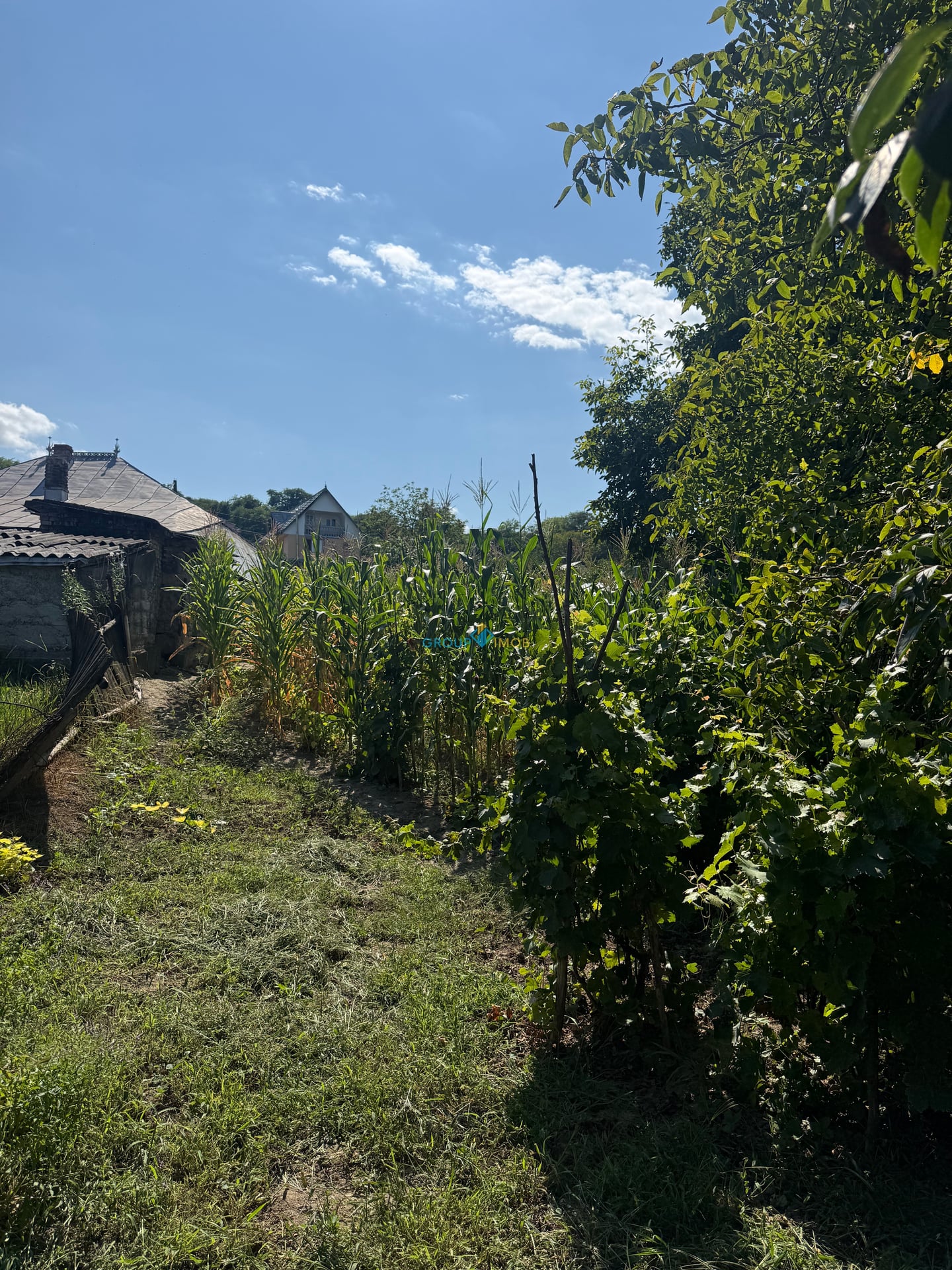 Casa de vanzare in Margineni-80 mp - foto 14