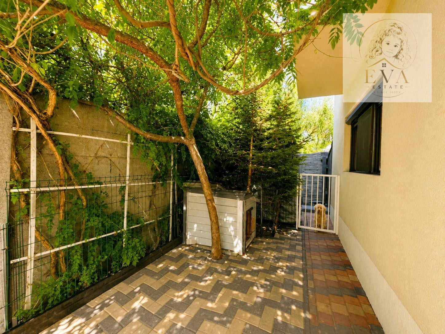 CASĂ P+1E | 4 CAMERE | TEREN 321 MP - foto 29