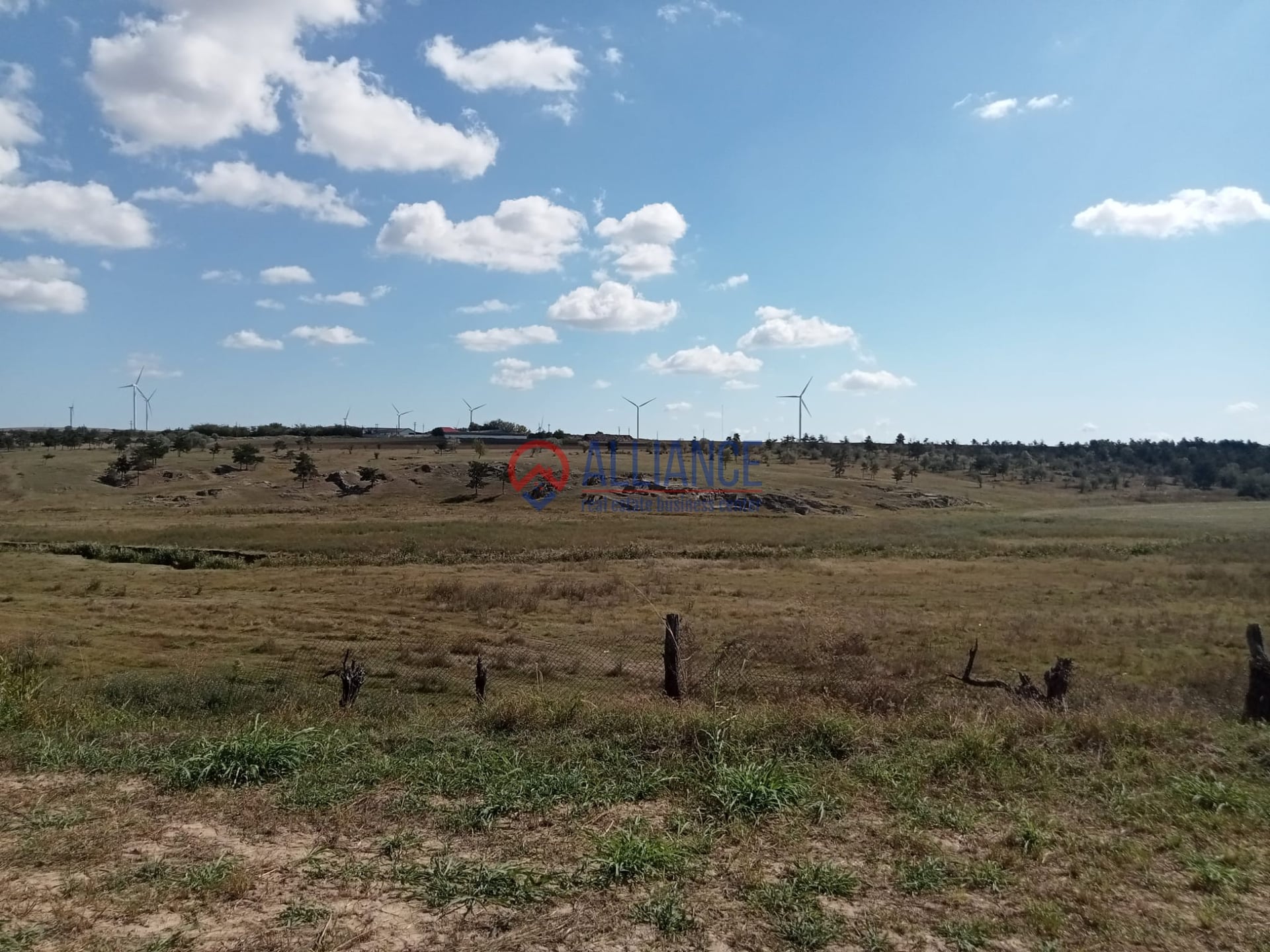 Teren intravilan 4.000 mp - Gradina, jud. Constanta - foto 3