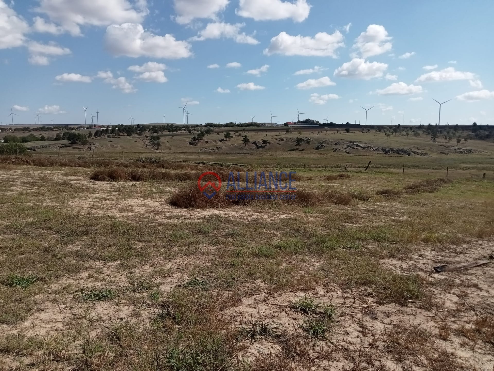 Teren intravilan 4.000 mp - Gradina, jud. Constanta - foto 4