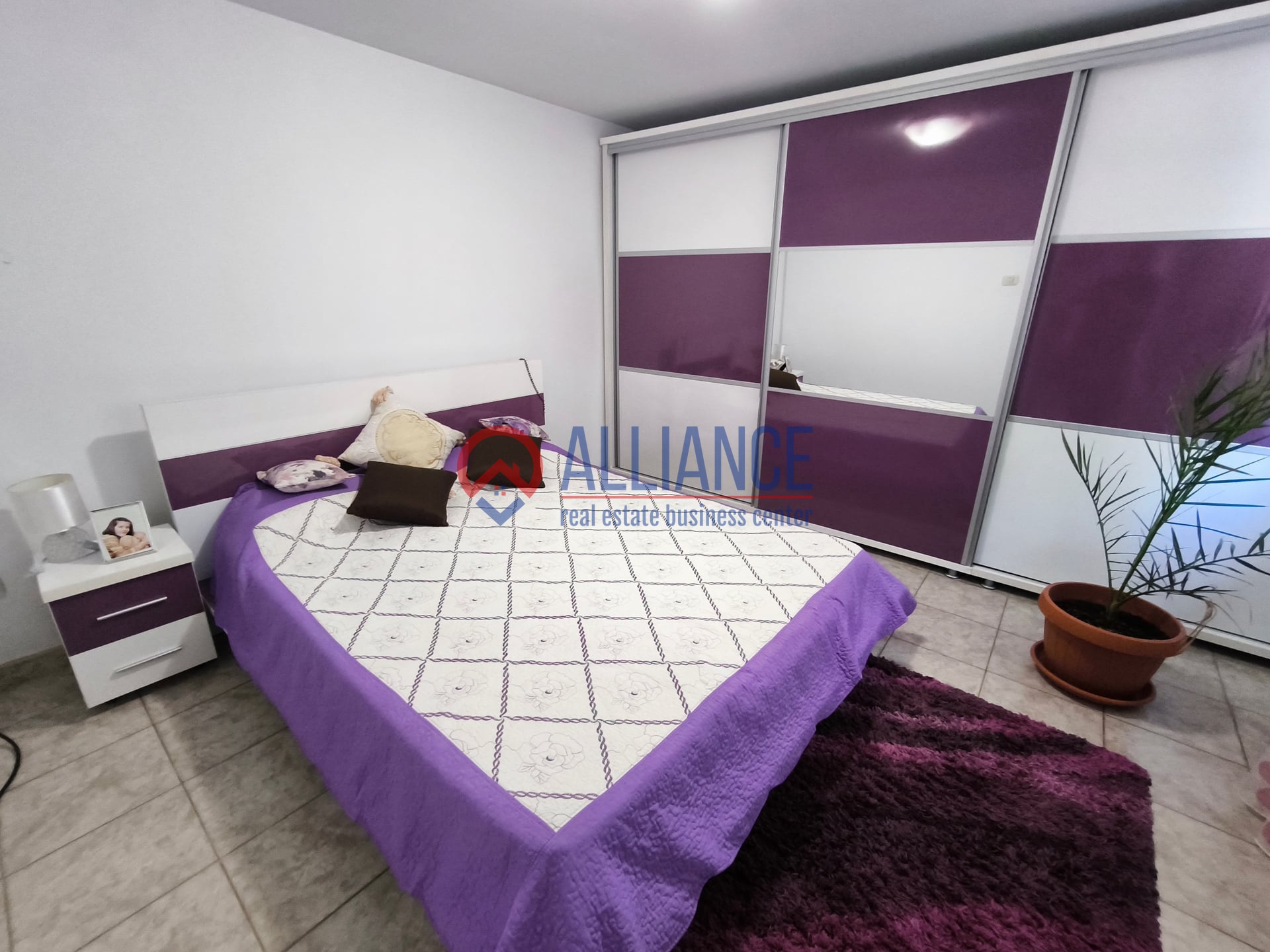 VIILE NOI - casa cu o curte generoasa disponibila imediat - foto 7